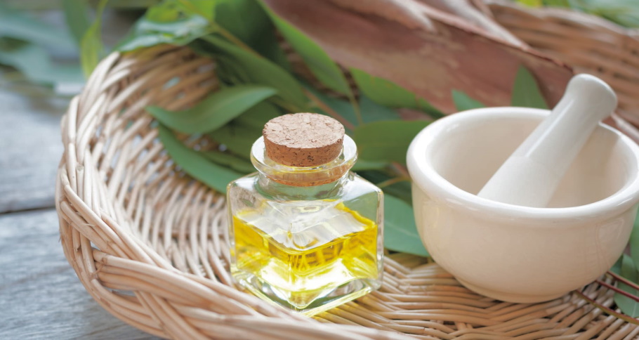 eucalyptus oil home remedies